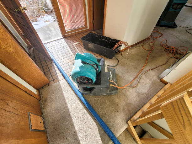 Water damage restoration mold remediation in WI