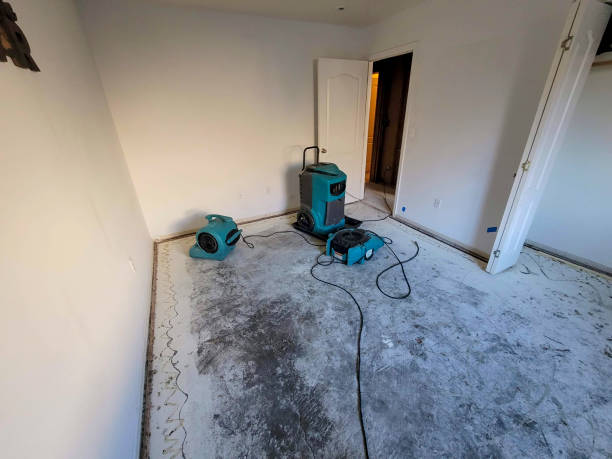 Best 24/7 water damage repair  in Markesan, WI