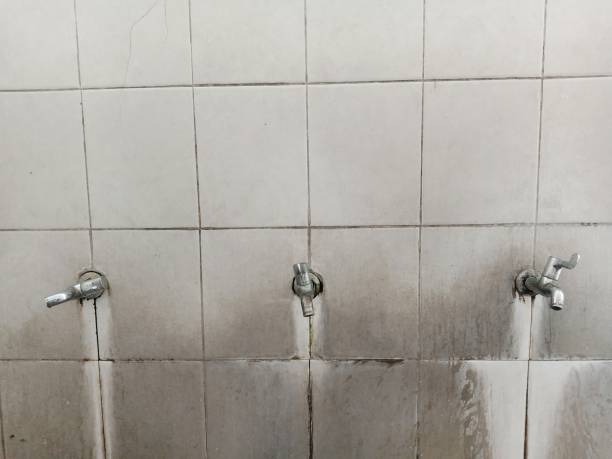 Best Ceiling water damage repair  in Markesan, WI